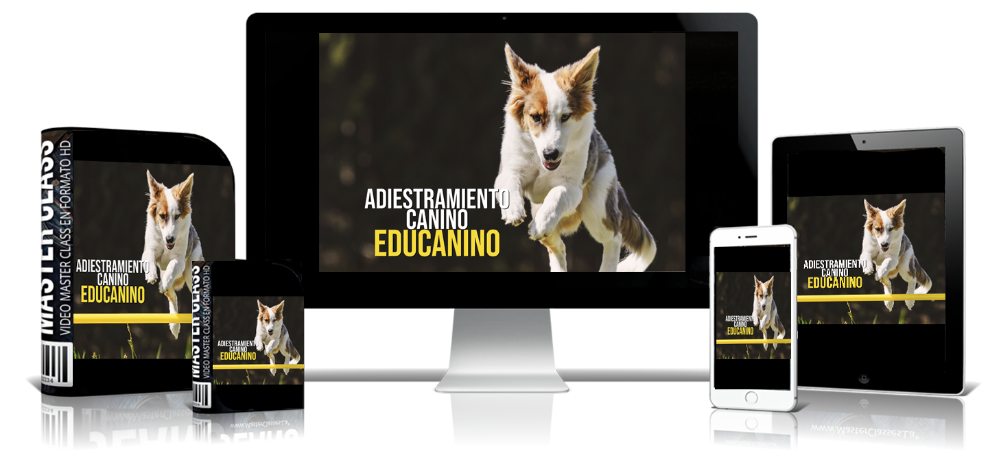 EDUCANINO