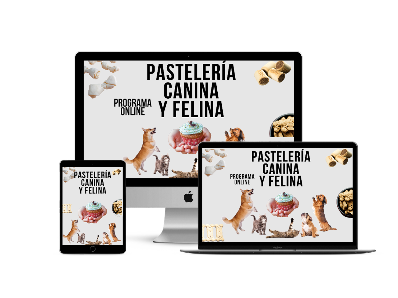 PASTELERÍA CANINA Y FELINA