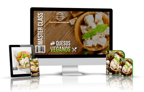 QUESOS VEGANOS